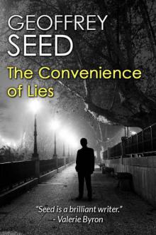 The Convenience of Lies Read online