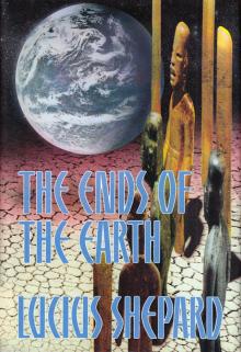 The Ends of the Earth Read online
