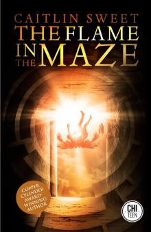 The Flame in the Maze Read online