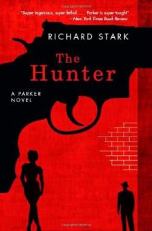 The Hunter p-1 Read online