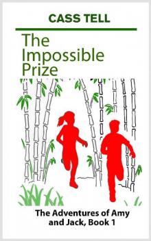 The Impossible Prize Read online