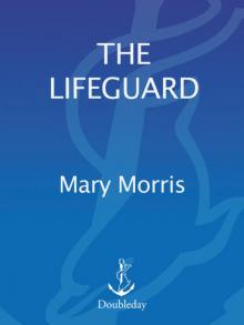 The Lifeguard Read online