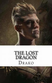 The Lost Dragon (The Dragon Hunters Book 1) Read online