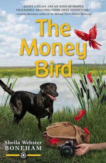 The Money Bird (An Animals in Focus Mystery)