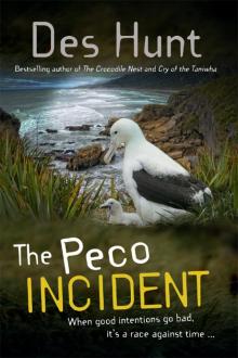 The Peco Incident Read online