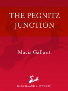 The Pegnitz Junction Read online