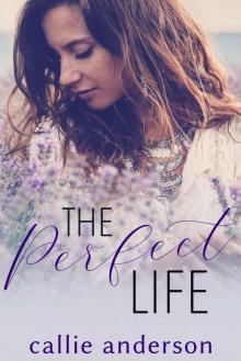 The Perfect Life Read online