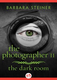 The Photographer II Read online