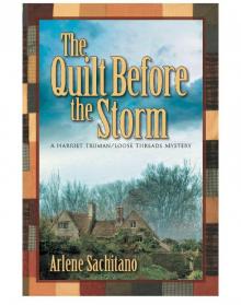 The Quilt Before the Storm Read online