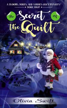 The Secret of the Quilt Read online