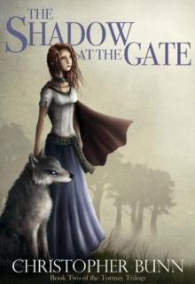 The Shadow at the Gate Read online