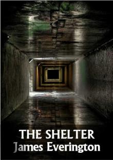 The Shelter Read online
