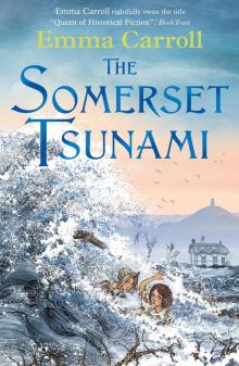 The Somerset Tsunami Read online