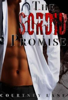 The Sordid Promise Read online