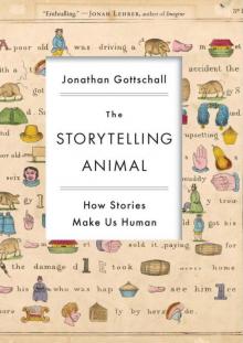 The Storytelling Animal: How Stories Make Us Human