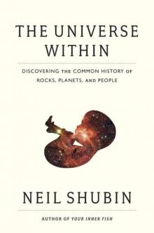 The Universe Within: Discovering the Common History of Rocks, Planets, and People Read online