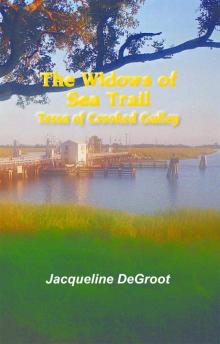 The Widows of Sea Trail-Tessa of Crooked Gulley Read online