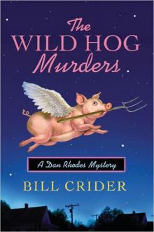 The Wild Hog Murders Read online