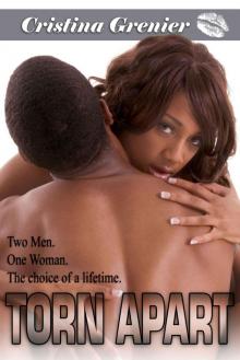 Torn Apart (African American Romance) Read online