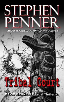 Tribal Court (David Brunelle Legal Thriller Series Book 2) Read online