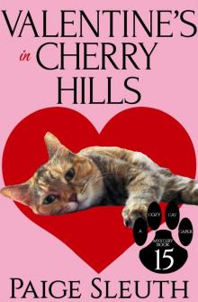 Valentine's in Cherry Hills Read online