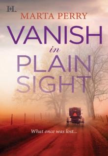Vanish in Plain Sight Read online