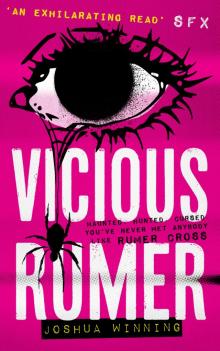 Vicious Rumer Read online
