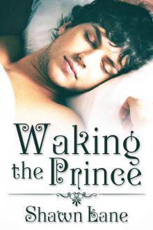 Waking the Prince Read online
