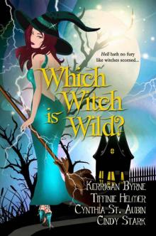 Which Witch is Wild? (The Witches of Port Townsend Book 3) Read online