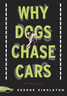 Why Dogs Chase Cars Read online