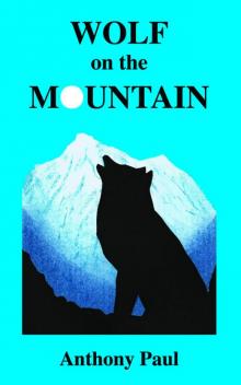 Wolf on the Mountain Read online