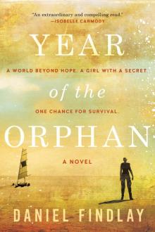 Year of the Orphan Read online