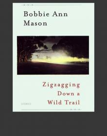 Zigzagging Down a Wild Trail Read online