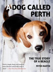 A Dog Called Perth Read online