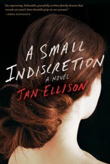 A Small Indiscretion Read online