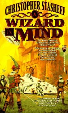 A Wizard In Mind - Rogue Wizard 01