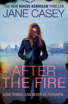 After the Fire (Maeve Kerrigan) Read online