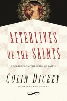 Afterlives of the Saints Read online