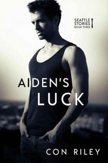 Aiden's Luck (Seattle Stories Book 3) Read online