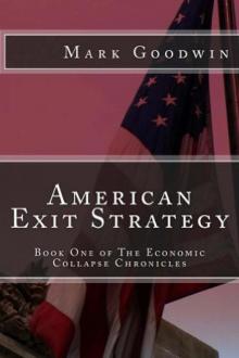 American Exit Strategy: Book 1