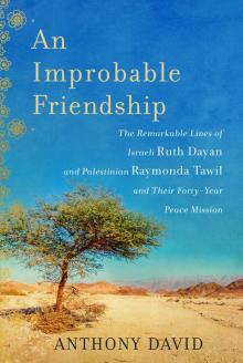 An Improbable Friendship Read online