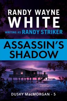 Assassin's Shadow Read online