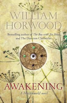 Awakening (Hyddenworld Quartet 2) Read online