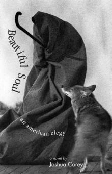 Beautiful Soul: An American Elegy Read online