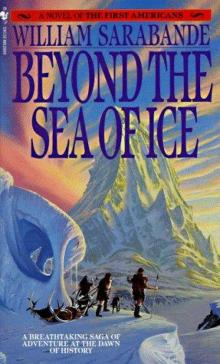 Beyond the Sea of Ice Read online