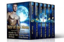 Bite of the Moon: Paranormal Shapeshifter Romance Boxed Set Read online