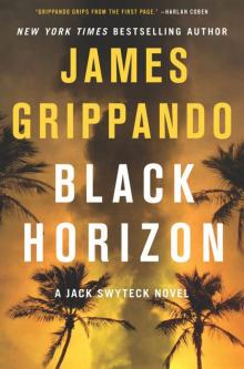 Black Horizon (Jack Swyteck Novel)