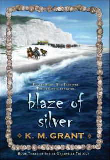 Blaze of Silver Read online