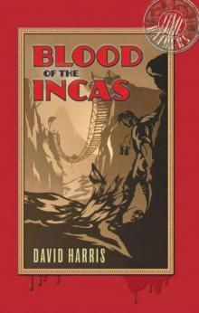 Blood of the Incas: Time Raiders 1 Read online