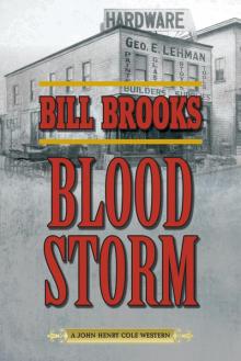Blood Storm Read online